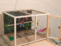 Papuqay,dovşan,hamster,şinşila,bildirçin,cücə,xamyak,pişik,quş,tısbağa — Foto 2