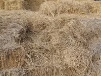 Солома в тюках Описание: - Пшеничная/ячменная солома, запрессована в — 1-rasm