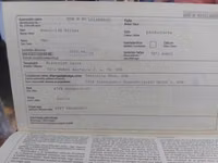Hengst, Percheron — Foto 8