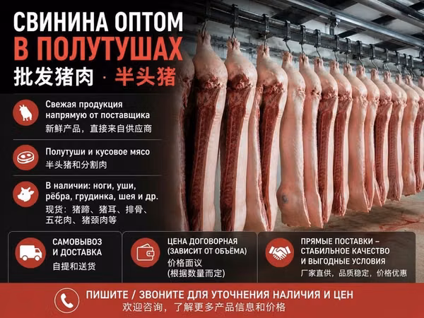 Продажа мясо свинина полутуши оптом