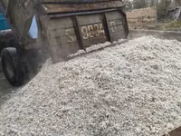Жом жом жом жом жом жом жом жом жом жом жом жом жом жом жом жом жом — Foto 1