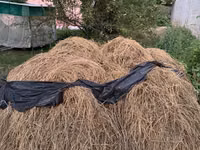 БЕСПЛАТНО!!! Чопту чаап берсениздер бесплатно берем чопту Сено из — Foto 1