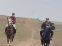 Aygʻir, Kazakh horse — 3-rasm
