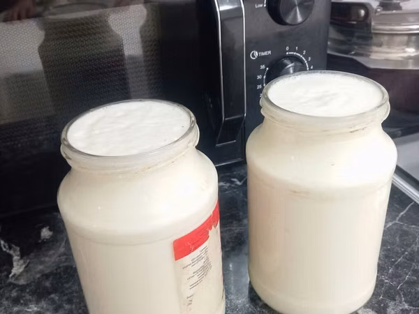 Домашнее козье вкусное безлактозное молоко очень полезное -