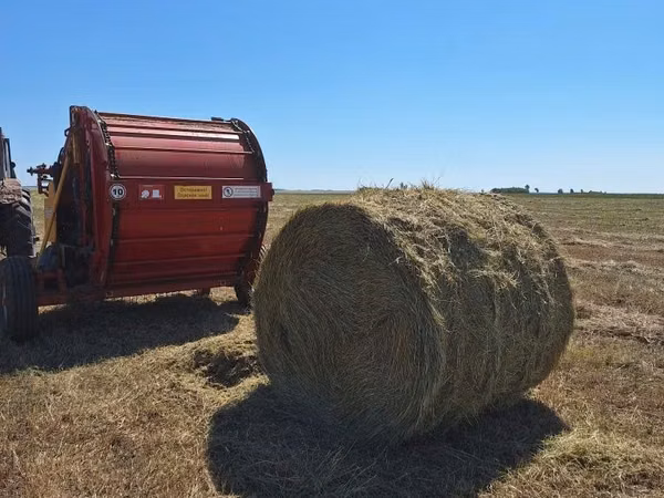 Прадаеться сено в