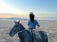 حصان, Kazakh horse — الصورة 4