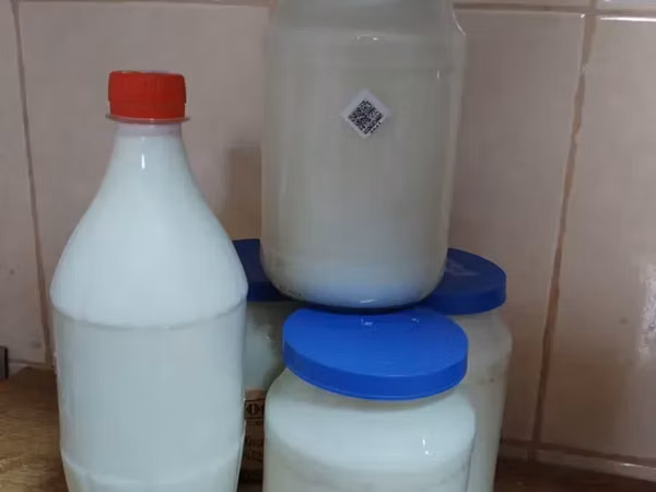 Կաթնամթերք (կաթ, մածուն, պանիր, կաթնաշոռ