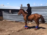 Ат, Казак аты — сүрөт 1