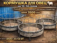 Кормушка для овец (круглая) - Вместимость: рассчитана на 12–14 голов — сүрөт 1