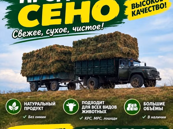 СЕНО — свежее, сухое, чистое. Высокое качество. Особенности: -