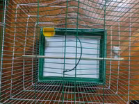 Quş qəfəsi – dekorativ dam formalı - Material: möhkəm metal — photo 2