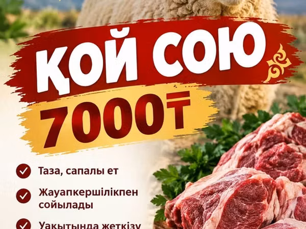 Oveja, Ovejas — Kazajistán