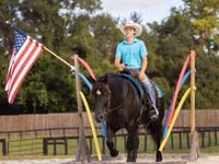 Toychoq, Percheron — 2-rasm