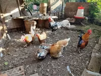 هامبورغ — الصورة 2