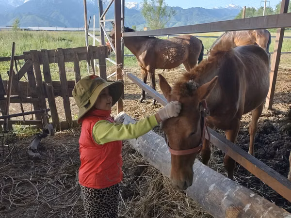 فرس, Kazakh horse — كازاخستان