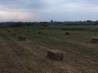 Сено в тюках (прямоугольные тюки) - Заготовлено на луговых травах — Foto 3