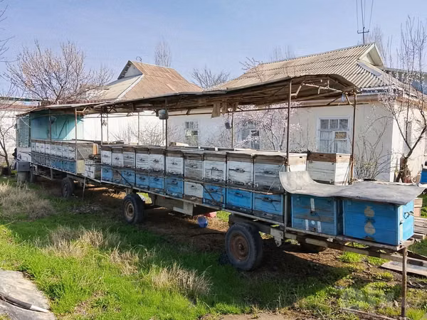 Пасека. Пчеловодный прицепы