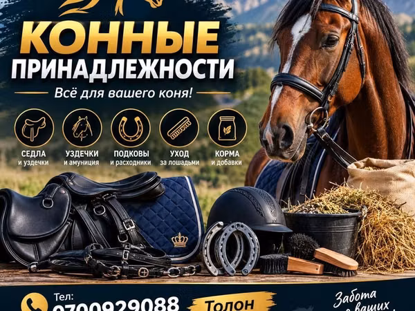 Конные принадлежности — всё для вашего коня Ассортимент: - Седла и