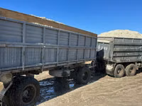 Жом камаз зил газон Жом доставка по всем областям камаз с прицепом — Foto 4