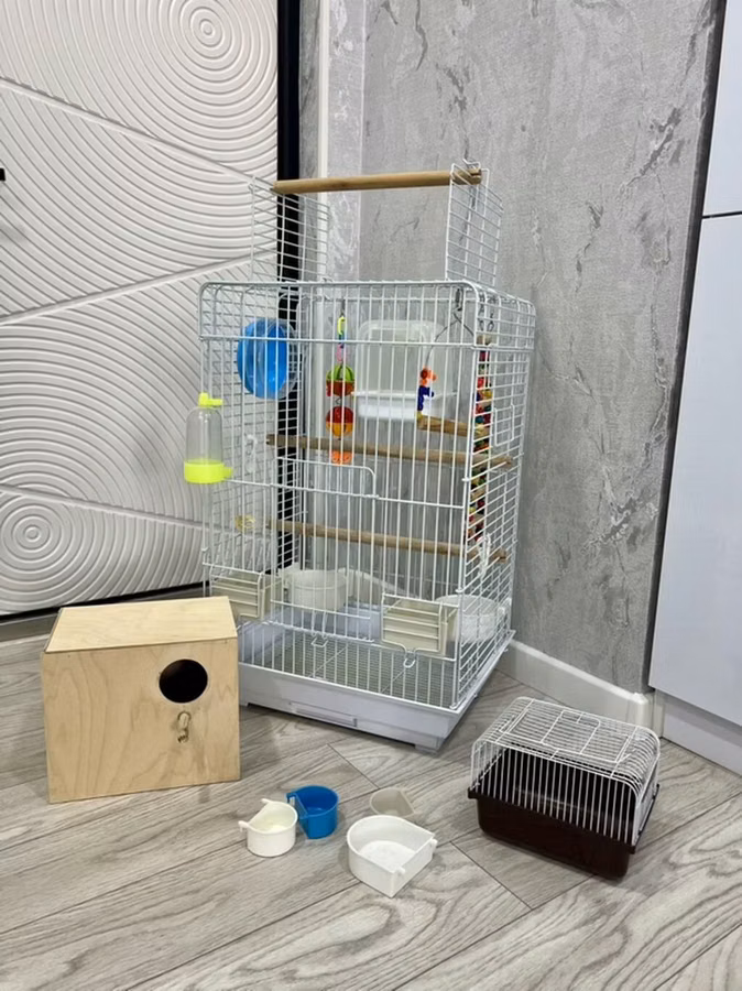 Qəfəs böyük ölçüdə Qefes Qefəs Qəfes Korella Kakadu Jako Kakapu