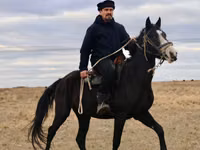 Айғыр, Kazakh horse — 2-сурет