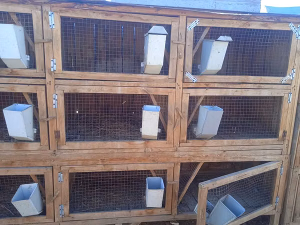 Кролики клетки для кроликов