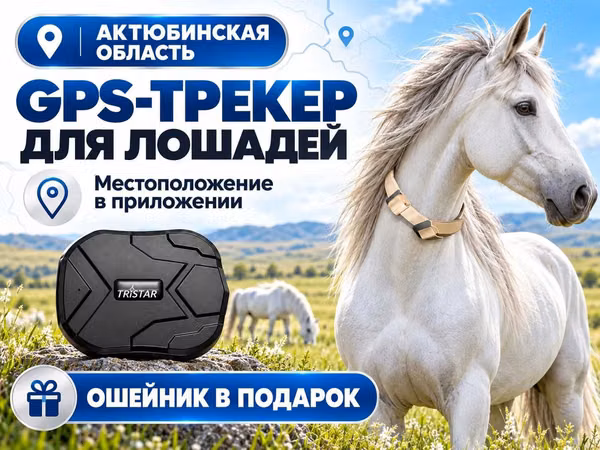 GPS трекер для лошадей. Жпс жылқыға