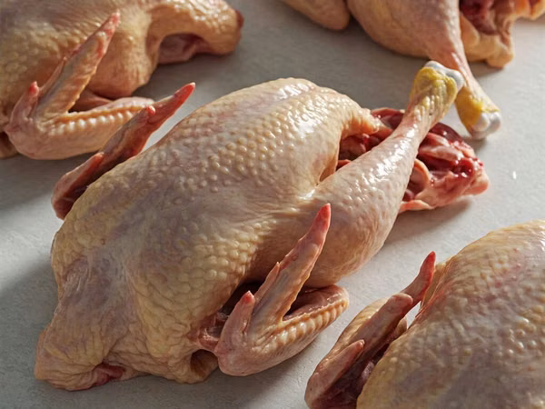 Chickens — 吉尔吉斯斯坦