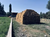 Арпа саман камыш аралаш 1400 тук бар — 照片 3