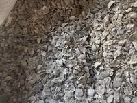 Ракушка серая в мешках — 1-rasm