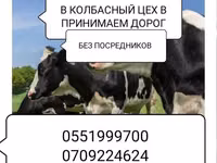 Туша, Самовывоз — Foto 4