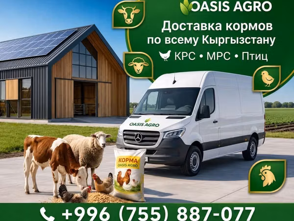 Комбикорм для птицы с доставкой Оптом дешевле - Нужен хороший корм
