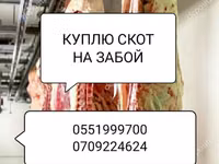 Туша, Самовывоз — Foto 3
