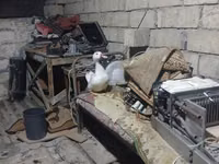 Ducks — الصورة 2