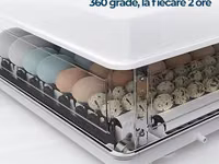 Incubator MS-70 — 2-rasm
