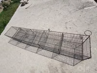 Товук уйлари 200 тага йетади — сүрөт 1