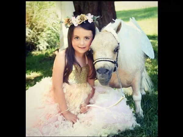 Toychoq, Miniature horse