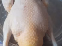 Turkeys — 照片 6
