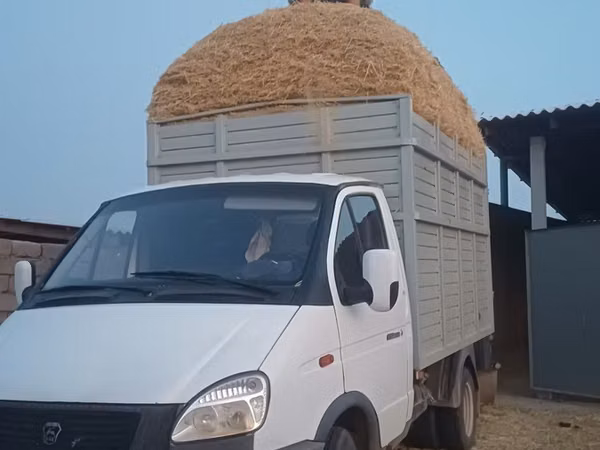 Мақсары топан сатылады