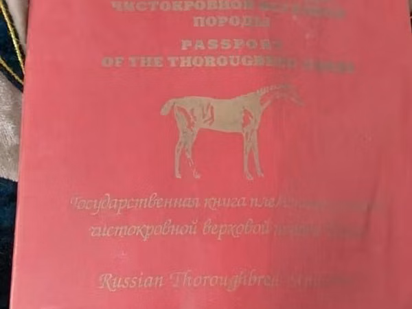 Ат, Аттар — Казакстан