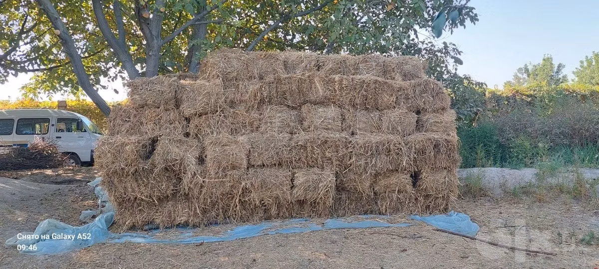 Hashak sotiladi.