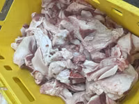Шкура пластовая/кусковая — फ़ोटो 3