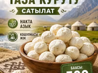Нарынский курут (сухие шарики из кисломолочного продукта) - — Foto 2