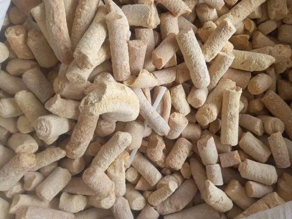 Курут майлуу