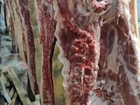 Продаëм мясо свинины, по оптовым ценам,оптом и в розницу. Доставка — foto 6