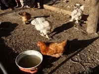 براهما — الصورة 3
