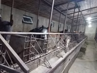 Аттар (партия, жынысы көрсөтүлгөн эмес), Аттар — сүрөт 5