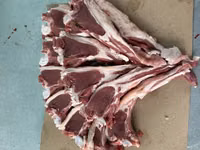 公羊, Sheep — 照片 8