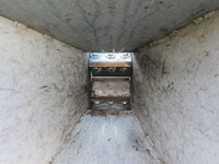 Tocător de crengi — Foto 3