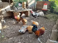 هامبورغ — الصورة 1